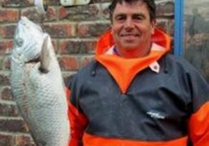 Pearly Beach versus Alpha